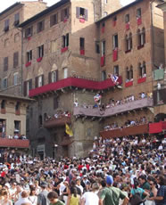 Palio di Siena